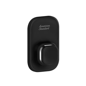 Vòi sen âm tường EasyFLO – Đen